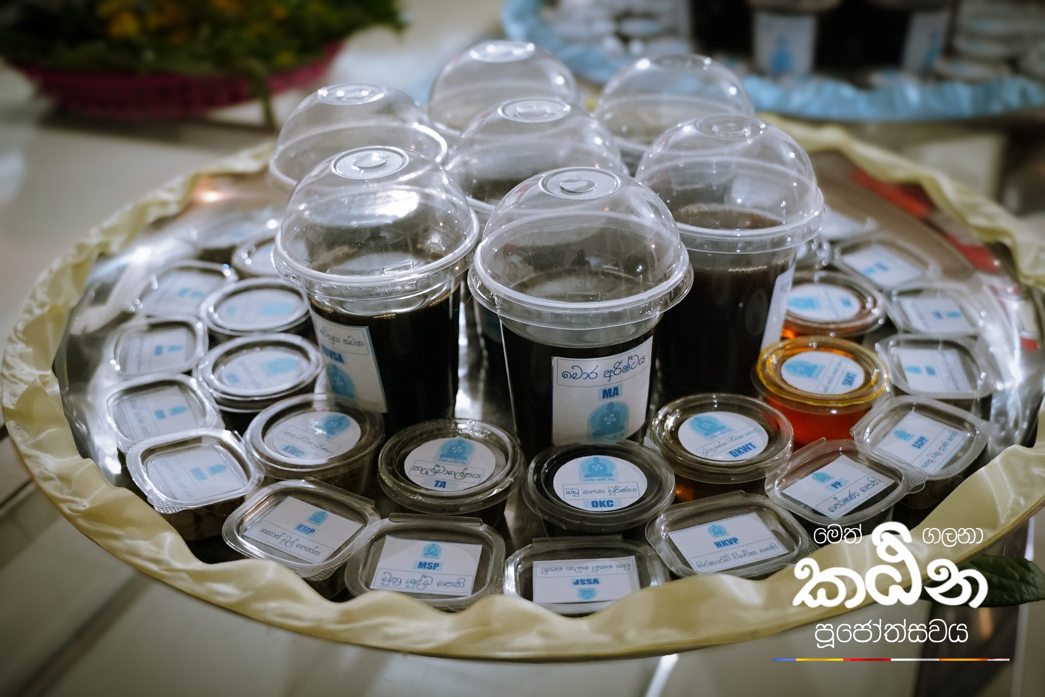 576380409_1359139172671483_6262919062271999623_n