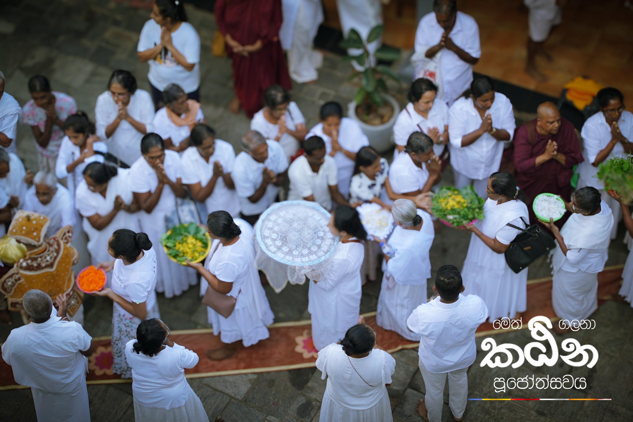 577005005_1359138932671507_1384178429634973045_n