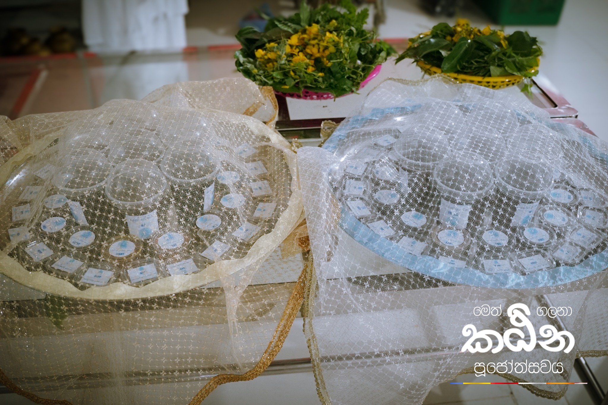 577391705_1359139442671456_49742512716018998_n